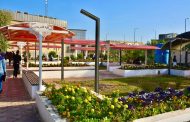 كلية التمريض بجامعة القادسية تنظم حملة كبرى لزراعة الورود وتوسيع المساحات الخضراء.