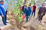كلية التقانات الاحيائية بجامعة القادسية تنظم حملة تطوعية لزراعة الاشجار وزيادة المساحات الخضراء.